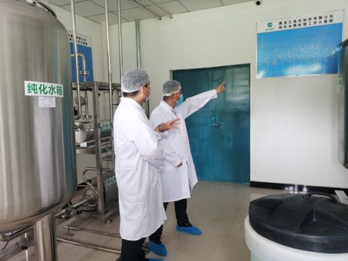 驻厂服务专班推进 虎林速度助推制药项目提速增效的教育咨询服务实践